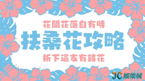 花開花落自有時？【扶桑花攻略】不用等待馬上發大財